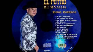 El Potro de Sinaloa  Puros Corridos Disco Completo Exclusivo 2016 [upl. by Theurich]