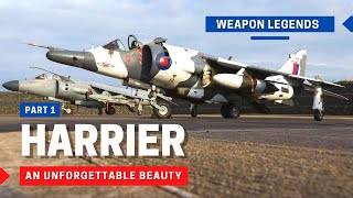 Harrier First Generation  An unforgettable British beauty [upl. by Standice]