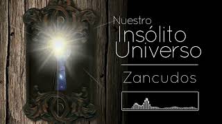 Nuestro Insólito Universo  Zancudos [upl. by Allac]