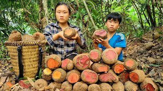 The Orphan Boy and the Mute Girl  Harvesting brown tubers goes the market sell Boil drinking water [upl. by Grubb]