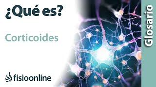 CORTICOIDES  Qué es cuál es su función dónde se encuentran e importancia para el cuerpo [upl. by Olmsted]