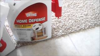 HOME DEPOT DEALOrtho Home Defense Max [upl. by Conlen]