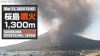 2024年3月13日 1345 桜島 噴火 1300ｍ  Sakurajima Eruption [upl. by Novehc]