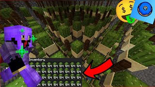 building a HUGE CACTUS FARM on Donut SMP [upl. by Oicam644]