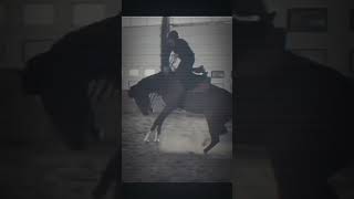 We live we love we DIE FW🔦subscribe horse equestrain falls fails dangerous horseriding [upl. by Muriah]