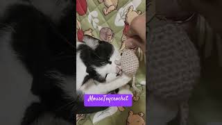 Mouse cat toy crochet 🧶 cat mousetoys cattoys shorts crochettoys crochet catlover amigurumi [upl. by Ailaham]