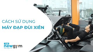 Cách sử dụng máy đạp đùi xiên  Angled Leg Press Machine [upl. by Ariew]