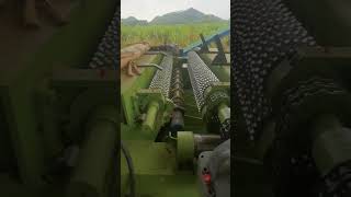 best best log debarker plywood Machine machine woodveneer woodworking wood veneerdryer lumber [upl. by Aivilys]