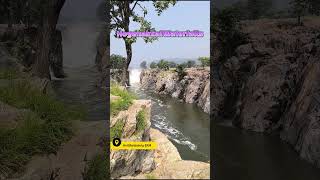 Hogenakkal waterfalls [upl. by Baugh]