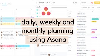 How to Use Asana for Project Management [upl. by Devon]