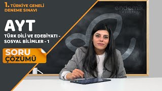 Endemik Yayınları 20232024 1 TG Deneme Sınavı AYT  TDE ve SOS1 Video Çözümlü Cevap Anahtarı [upl. by Lars206]