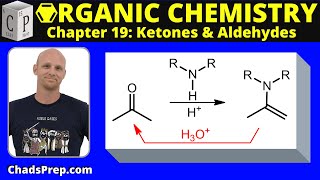 196b Addition of Secondary Amines Enamine Formation [upl. by Anoi]