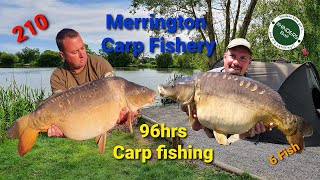 210  Merrington Carp Fishery 96hrs Carp Fishing [upl. by Meridith]