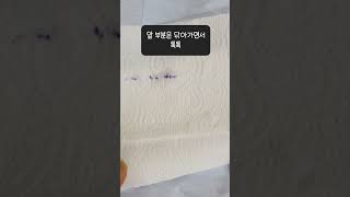 옷에 묻은 볼펜 제거하는법 How to remove pen stains from clothes [upl. by Sualocin]