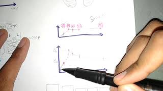 Articular Cartilage Anatomy Properties  Biomechanics [upl. by Milford]