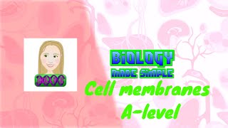 Cell membranes Alevel AQA Biology [upl. by Anaik]