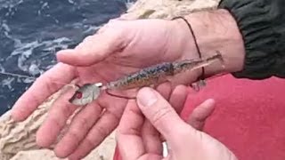 Monter un Hameçon Texan sur une tête plombée type Shad [upl. by Shirah]