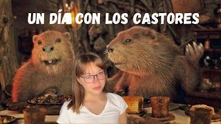 AUDIOLIBRO Las Crónicas de Narnia El León la Bruja y el Armario  Capítulo 6 y Capítulo 7 [upl. by Keelin559]