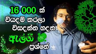 SUNSUN CUV118 UVC Clarifying Sterilizer UV Light Unboxing Algae Problem  ඇල්ගී ප්‍රශ්නේට විසදුමක් [upl. by Ettennod]