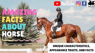 Amazing Facts About Horse  Horse Characteristic Traits Facts And Appearance  Animals Addict [upl. by Yardna506]