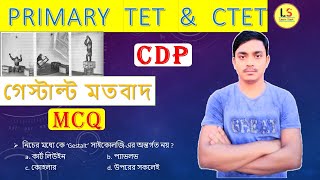 CDP গেস্টাল্ট তত্ত্ব  Gestalt Theory of Learning  অন্তর্দৃষ্টিমূলক শিখন তত্ত্ব LearnStart [upl. by Ahsahs]