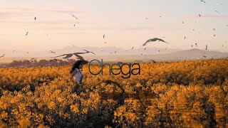 chega edit [upl. by Kyla]