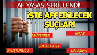 Af Yasa Genel Af  7 Yargı Paketi [upl. by Lebezej]