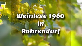 Weinlese 1960 [upl. by Pius]