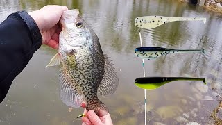 Simple Tips For Crappie Bank Fishing Success Iowa Crappie Fishing [upl. by Shalom]