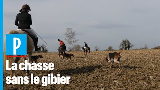 «Le Drag» la chasse à courre sans tuer de gibier [upl. by Gardell]