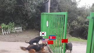 North Korean conflict summarized [upl. by Metah1]