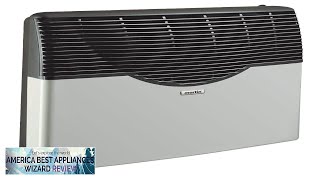 Martin Propane Direct Vent Thermostatic Heater 20000 Btu Review [upl. by Norel782]