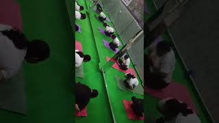 vedayogacentre mandukasana yogateacher yogaforgoodhealth yoga4advanceaasnapractice [upl. by Sella]