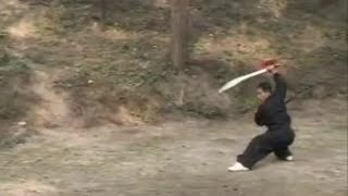 Chen ZiQiang Taiji Double Broadswords 42 Postures Routine [upl. by Neirual]