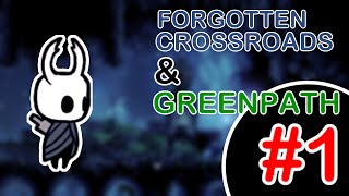 Forgotten Crossroads and Greenpath  Hollow Knight with pim 1 [upl. by Nosinned515]