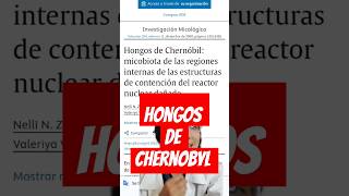 Hongos de Chernobyl sabiasque biologia biology pollipadilla shorts hongos chernobyl [upl. by Braeunig]