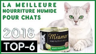 La Meilleure 🔥 Nourriture Humide Pour Chats 😸 TOP6 🔥 [upl. by Anselmo705]