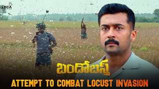 Bandobast Movie Scene Telugu  Attempt to Combat Locust Invasion  Suriya Arya  Sayyeshaa  Lyca [upl. by Fitalludba13]