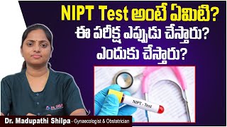 NIPT Test అంటే ఏమిటి  NITP Test In Pregnancy  Non Invasive Prenatal  Dr Shilpa Womens Clinic [upl. by Poul725]