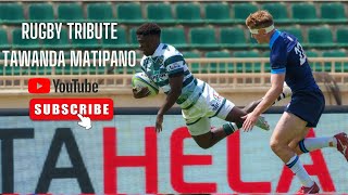 TAWANDA MATIPANO RUGBY TRIBUTE  RISING STARS [upl. by Assilana115]