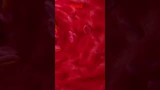 Blood respiratory system shorts ytshorts viral [upl. by Zetta660]