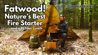 Easy Reliable Fat Wood Fire [upl. by O'Shee847]