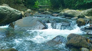 Amazing Sounds of Water Lapping for Sleeping Mind Relaxing Fighting Anxiety and Stress [upl. by Barthold]