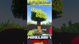 I Made Skyblock in Minecraft Hardcore 22 [upl. by Lerat]