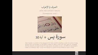 Irab of Surah Yasin زوريدة إدريس Ayah 30 Part 1 [upl. by Tutt566]