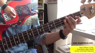 Vado Al Massimo  Vasco Rossi  Bass Cover Ita [upl. by Ahsatel]