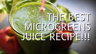 Jordans Favorite Microgreens Juicing Recipe  Birdie amp The Bees Farm [upl. by Clark]