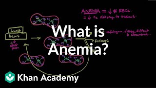 What is anemia  Hematologic System Diseases  NCLEXRN  Khan Academy [upl. by Reagan462]