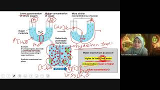 BIO091 Week 6  Chapter 3 Plasma Membrane Transport [upl. by Correy]