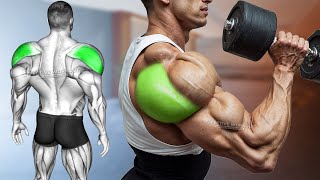 5 Best Rear Delt Exercise DUMBBELL ONLY [upl. by Haeluj]